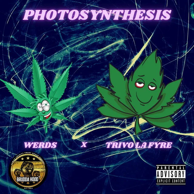 Photosynthesis