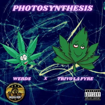 Photosynthesis by Werds