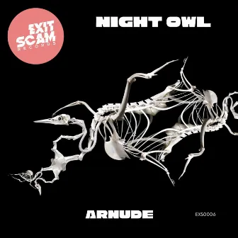 Night Owl by Arnude