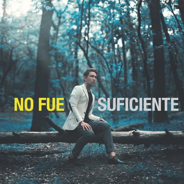 No Fue Suficiente