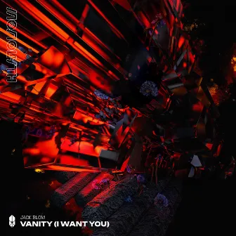 Vanity (I Want You) by Jack Blom