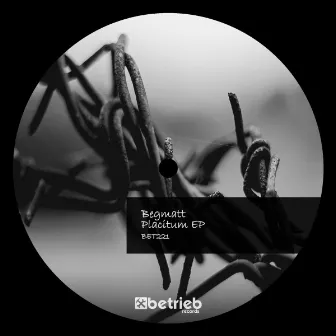 Placitum EP by Begmatt