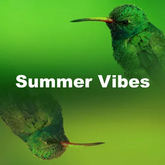 Summer Vibes by Birds & Bees etc.