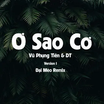 Ơ Sao Cơ (Đại Mèo Remix) [Version 1] by DT