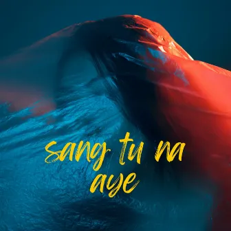 Sang tu na aye by Sourav Roy