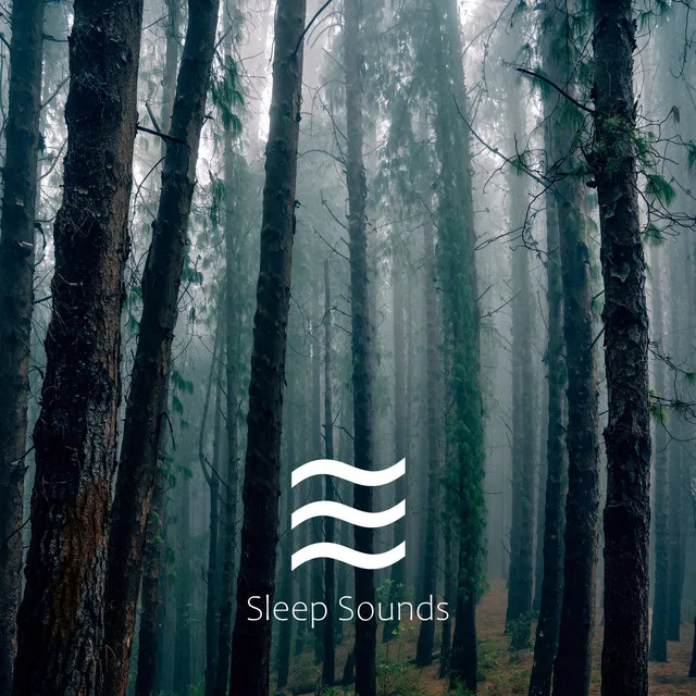 Smooth Water Sounds for Sleep