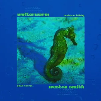 seahorse lullaby / quiet storm by Walterwarm