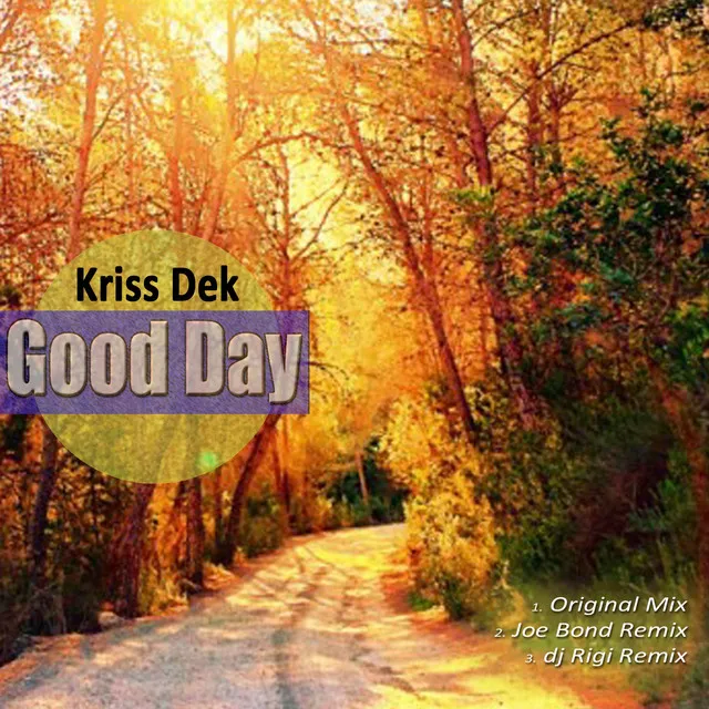 Good Day - DJ Rigi Remix