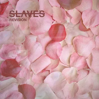 Revision by SLAVES