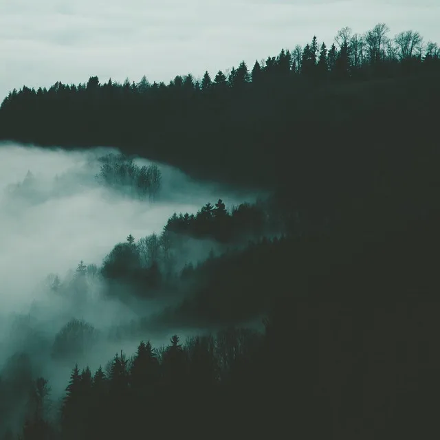 Camping By The River