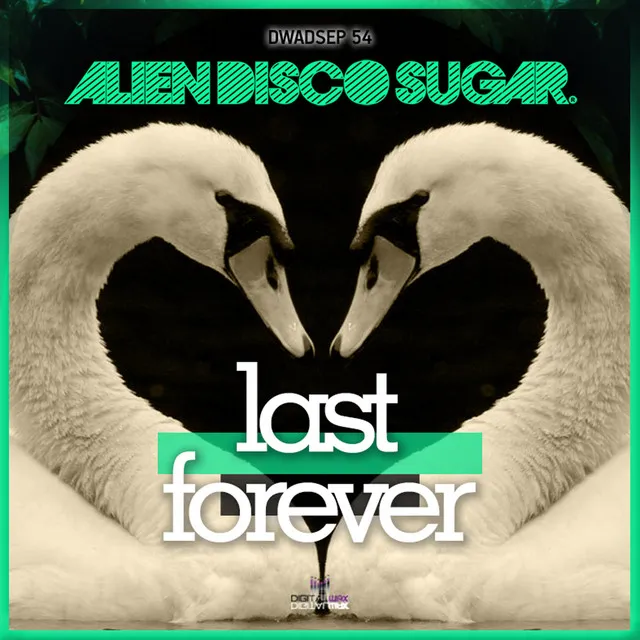 Last Forever - Extended