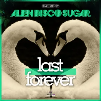 Last Forever by Alien Disco Sugar