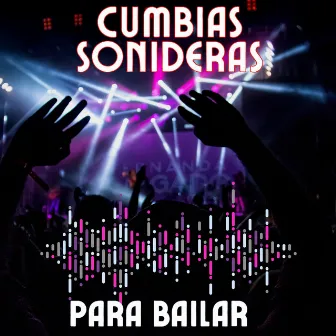 Cumbias Sonideras, Para Bailar by Danny Y Su Grupo