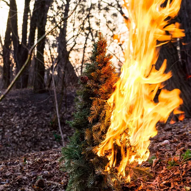 Burning Down the Xmas Tree