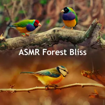 ASMR Forest Bliss by Forest Sounds FX