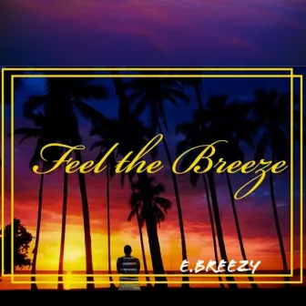 Feel The Breeze by E. Breezy