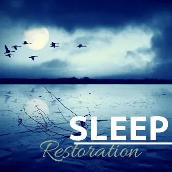 Sleep Restoration - Relaxing Piano Music for Deeply Restoring Sleeping Meditation Sessions by Restful Sleep Academy