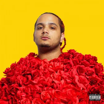 Solo Boy Band by Nessly