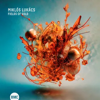 Fields of Gold by Miklós Lukács