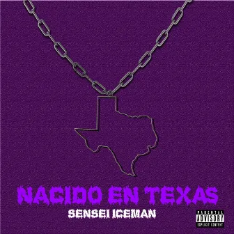 Nacido En Texas (Chopped And Screwed) by Sensei Iceman