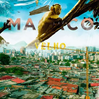 Macaco Velho by Ourivânio Ouro