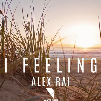 I feeling by Alex Rai