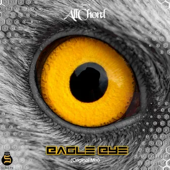 Eagle Eye by Allchord