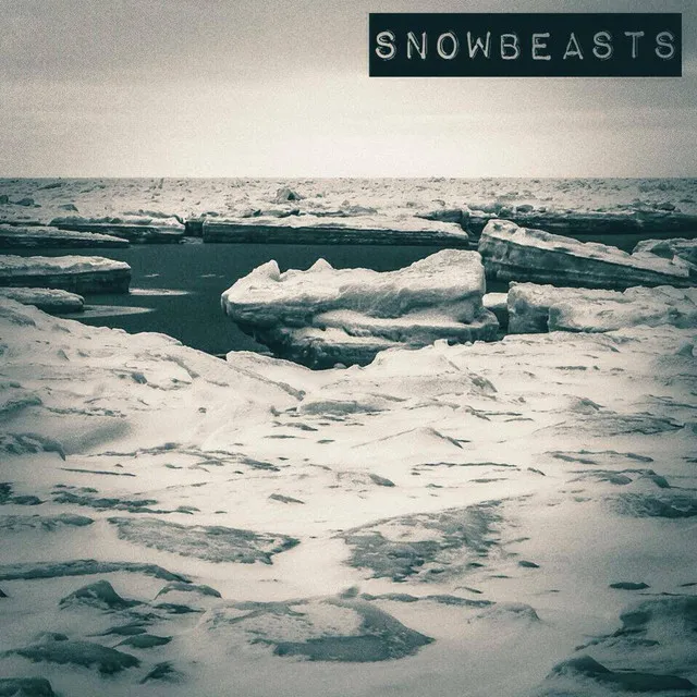 Snowbeasts