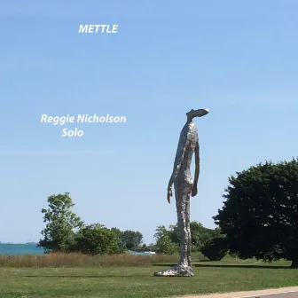 Mettle by Reggie Nicholson