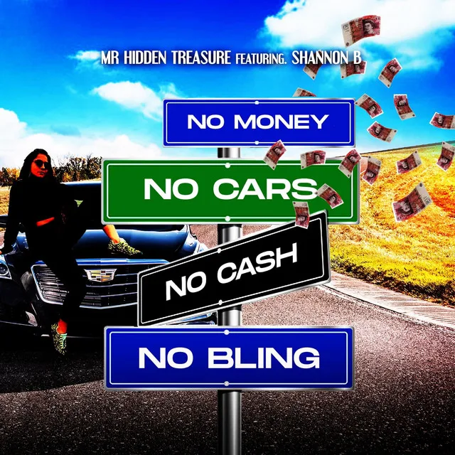 No Money No Cars No Cash No Bling