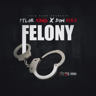 Felony by Don Herb