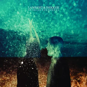 We Share Phenomena by Lambert