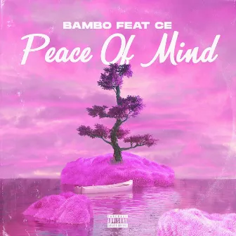 Peace of Mind by Bambo