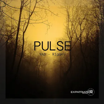 Pulse by YAD