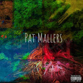 Sensory by Pat Mallers