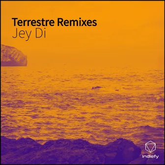 Terrestre (Remixes) by Jey Di