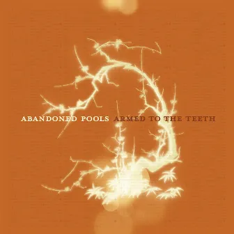 Armed To The Teeth by Abandoned Pools