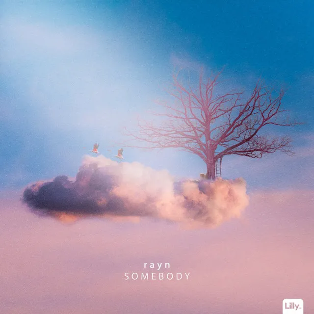 somebody