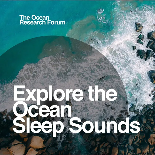 Explore the Ocean - Sleep Sounds