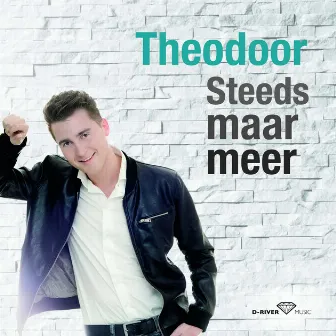 Steeds maar meer by Theodoor