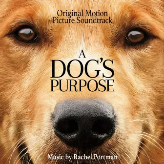 A Dog's Purpose (Original Motion Picture Soundtrack) by Rachel Portman