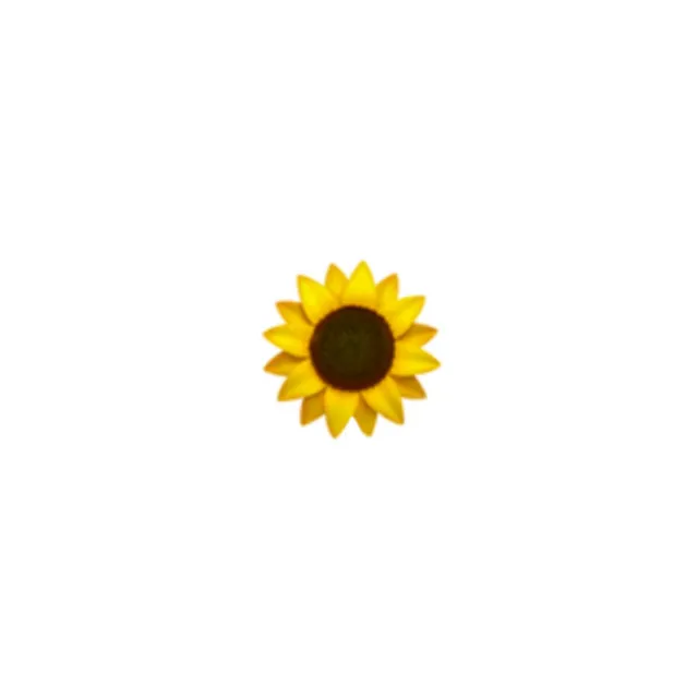 Girasoles