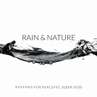 Rain & Nature Rhythms for Peaceful Sleep 2020 by Sleep & Dream Music Academy