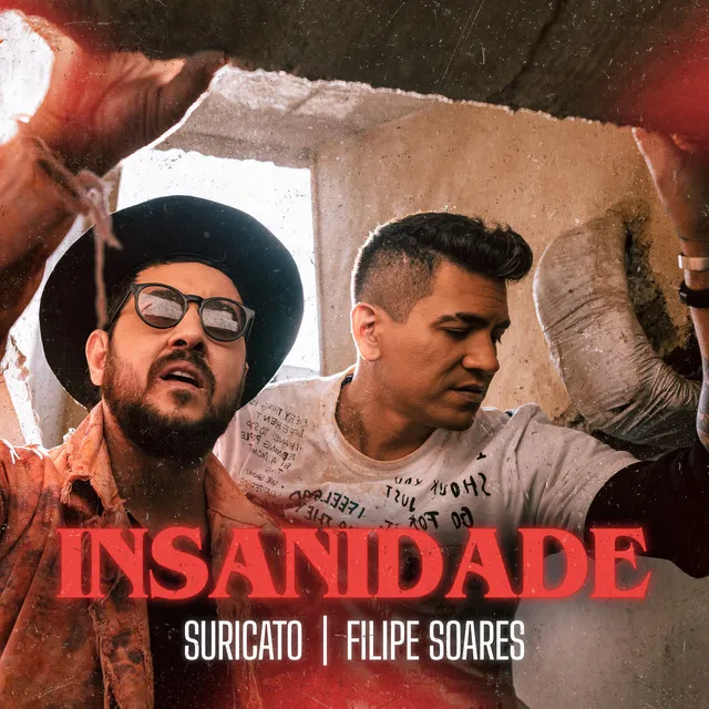 Insanidade