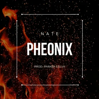 Pheonix by Nate