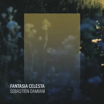 Fantasia Celesta by Sébastien Damiani