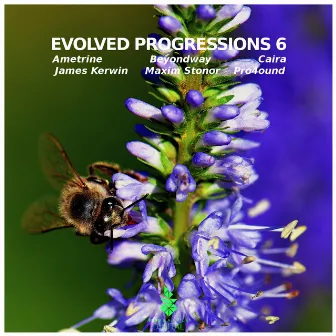 Evolved Progressions 6 by Ametrine