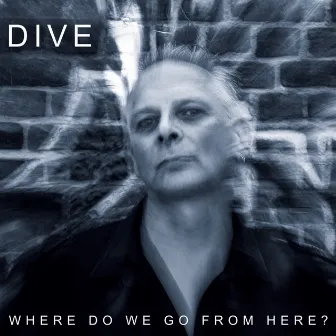 Where Do We Go from Here by Dive