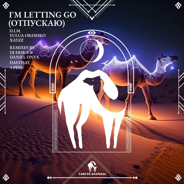 I'm Letting Go (DJ Erika & Daniel Onyx Remix)