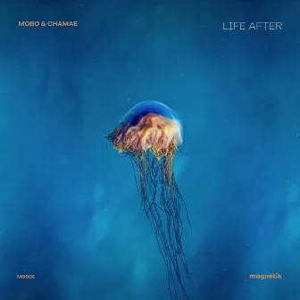 Life After by Mobo